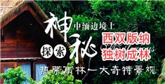 鸡巴操女人逼视频